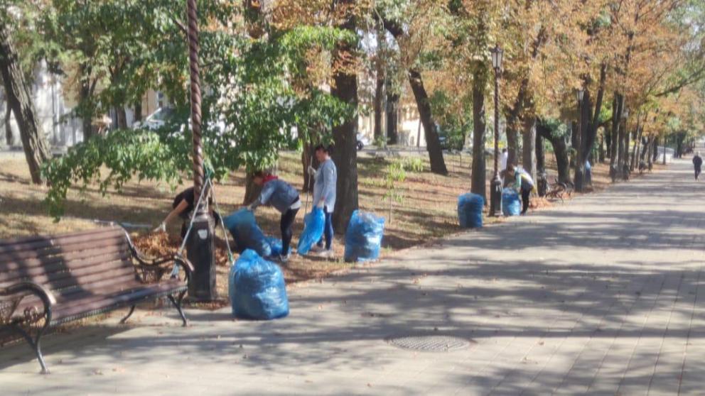 Больше шести тысяч человек в Ставрополе вышли на субботник
