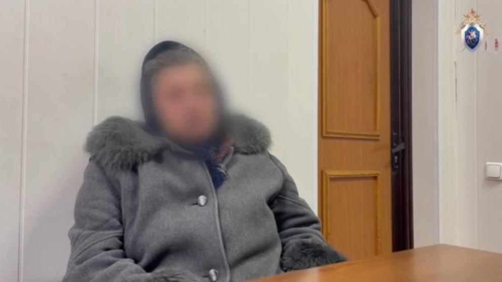 В Ставрополе осудили хозяйку напавших на девятилетнюю девочку собак