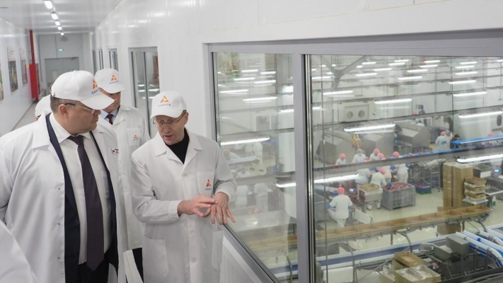 Крупнейший в стране комплекс по производству баранины построят на Ставрополье