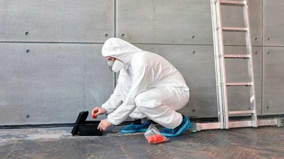 Как избавиться от крыс народными средствами