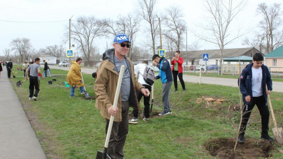В Туркменском округе Ставрополья высадили более 220 деревьев