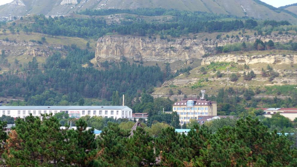 Кисловодские леса получат «гражданство»