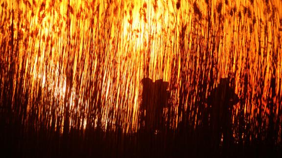 На Ставрополье ожидается чрезвычайная пожароопасность