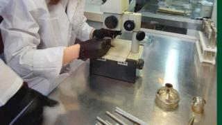 Учёные Ставрополья выиграли грант Российского научного фонда