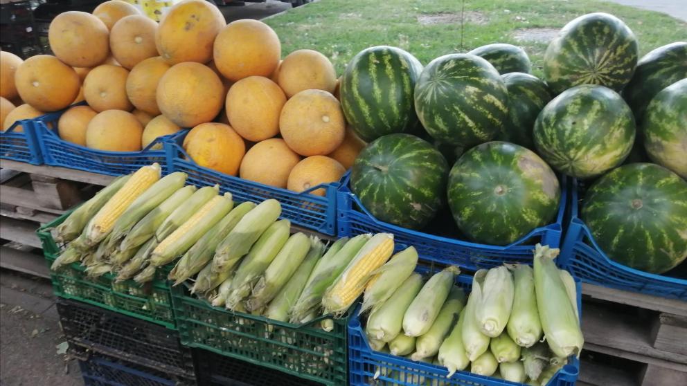 Аграрии Арзгирского округа Ставрополья собрали почти 165 тонн дыни