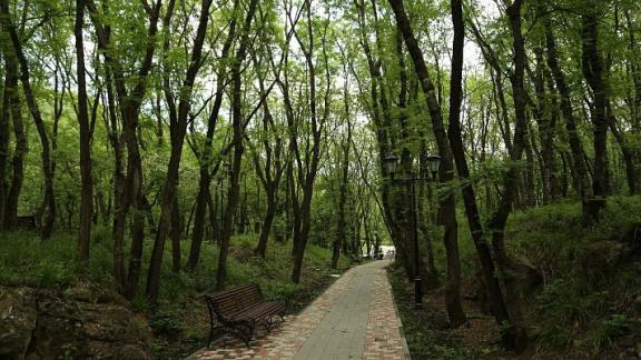 На Ставрополье благоустроят парки и скверы почти с вековой историей