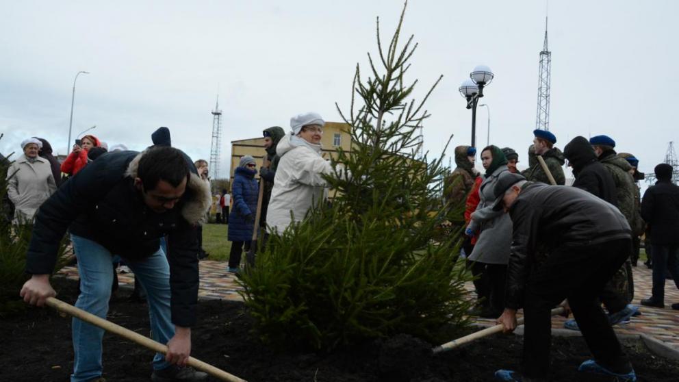 Итоги Года экологии в Ставрополе: 5 га зеленых насаждений и 800 тысяч цветов