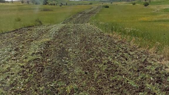 В Ставрополе расширили зону противопожарной опашки