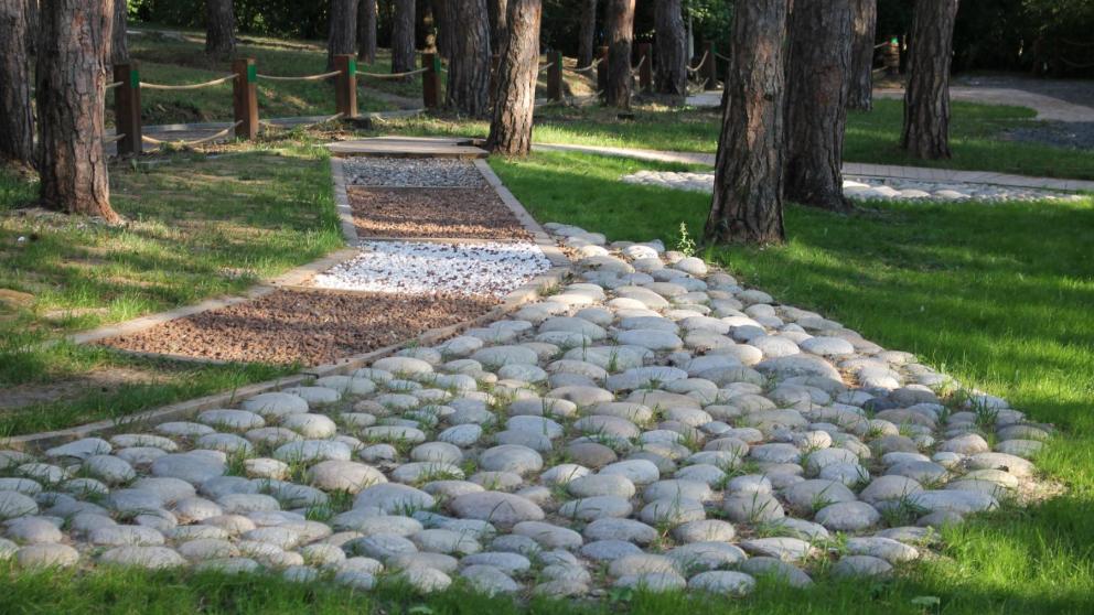 В Кисловодске появилась первая в России Тактильная тропа