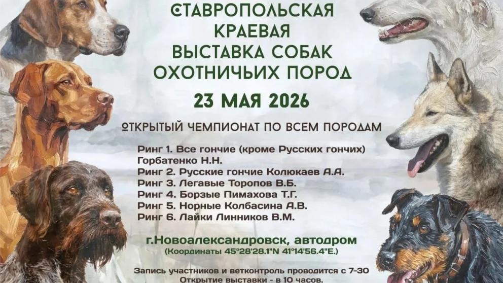 На Ставрополье пройдёт выставка охотничьих собак