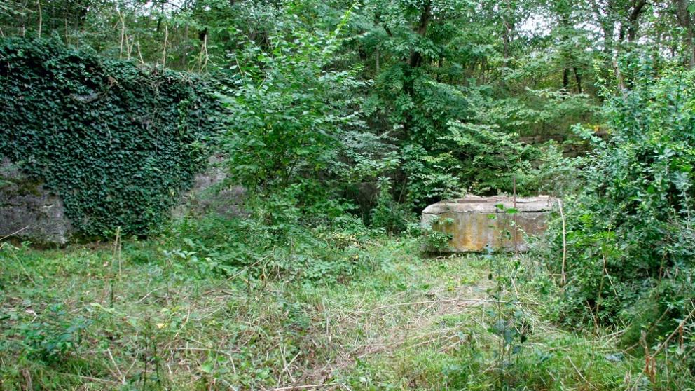 В Железноводске создана охранная зона Баталинского минерального источника