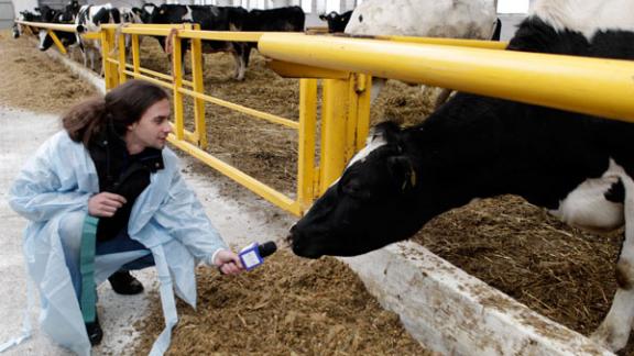 Животноводство должно стать рентабельным на Ставрополье
