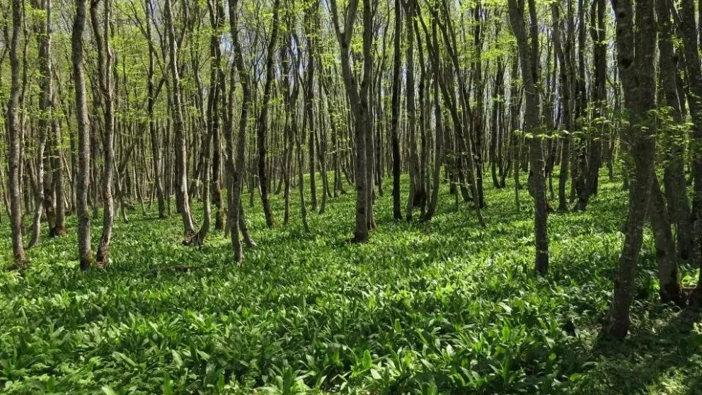 Экотропы Ставрополья готовят к туристическому сезону