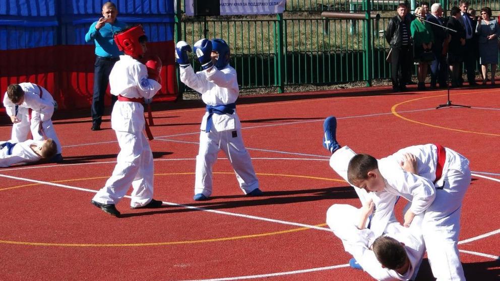 Восемь значимых социальных объектов принес Год местных инициатив Андроповскому району