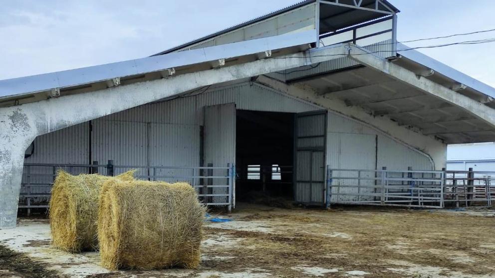 Семейная ферма появилась в селе Красном на Ставрополье на средства гранта