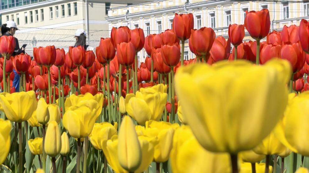 В Ставрополе прошла профсоюзная маевка