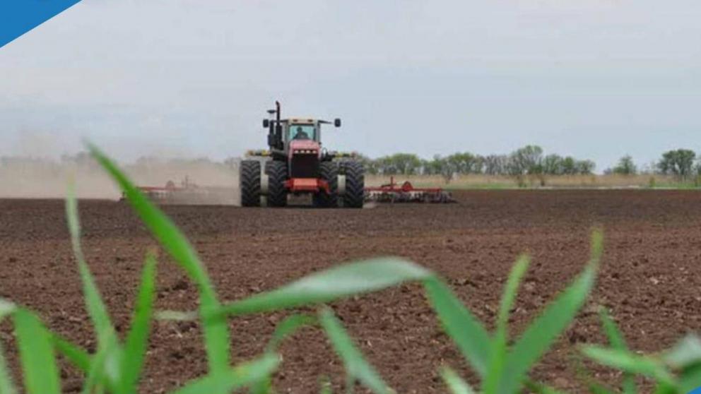 В Ипатовском округе Ставрополья завершилась весенняя посевная кампания