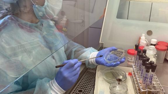 На Ставрополье специалисты ветлаборатории определили качество молока