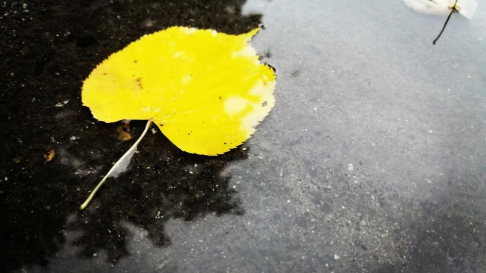 На Ставрополье в станице Ессентукской отремонтировали ливневую канализацию