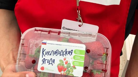 Ставропольская клубника покорила москвичей на фестивале «Вкусы России»