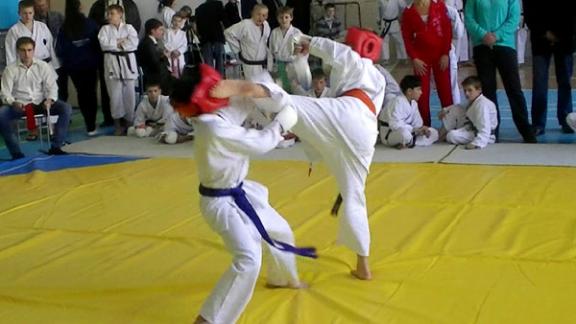 Ставропольские каратисты готовятся к Всероссийским играм в Брянске