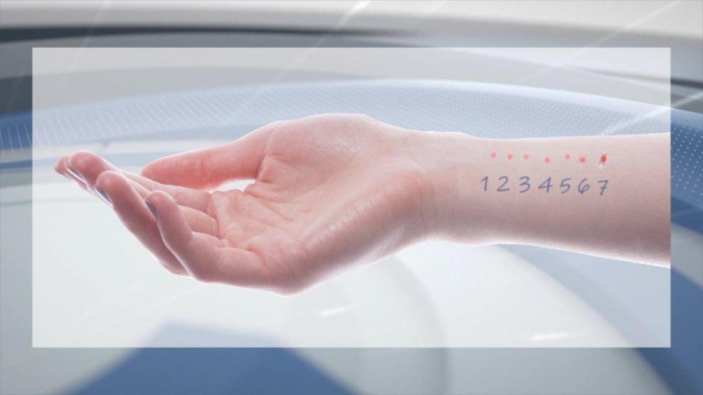 На Ставрополье врачи дали рекомендации при аллергии на амброзию