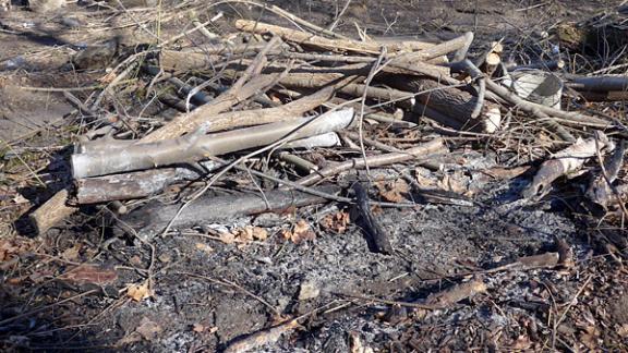 Кто и зачем устроил лесоповал в курортной зоне Кисловодска?