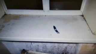 Житель ставропольского села проведёт 8 лет в тюрьме за изнасилование