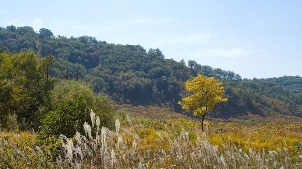Минприроды Ставрополья приступило к обследованию заказников