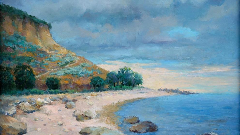 Новые поступления от дарителей представляет Ставропольский музей изоискусств