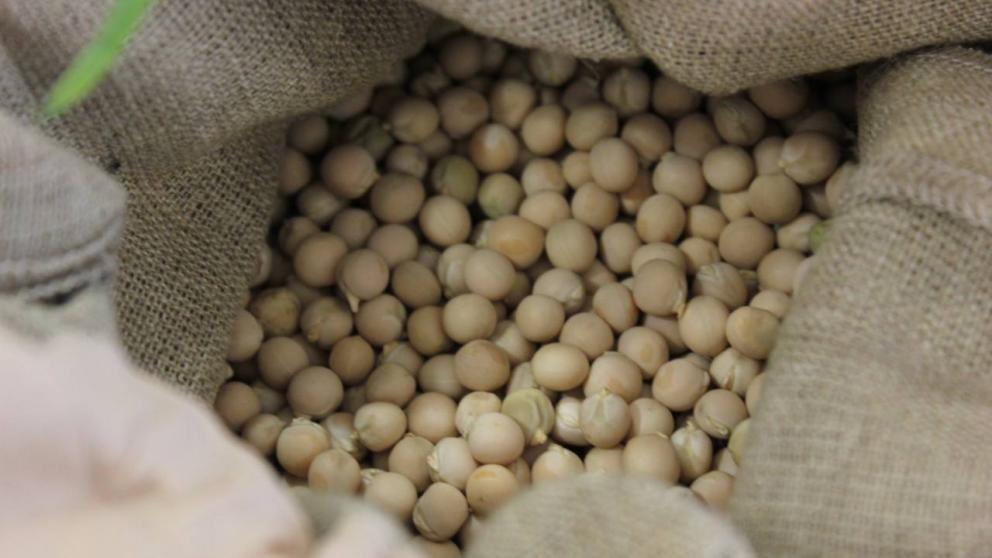 На Ставрополье завершается подготовка семенного материала к весеннему севу