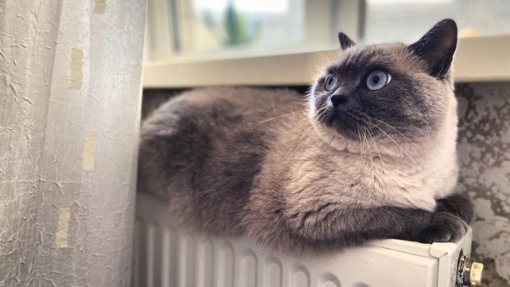 Отопительный сезон в Ессентуках начнётся 1 октября