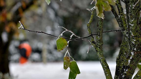 «Рейтинг качества жизни – 2014»: Ставрополье в пятерке лидеров по экологии