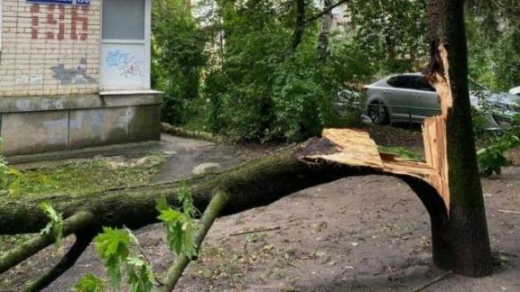 Последствия сильного ливня устраняют в Ставрополе