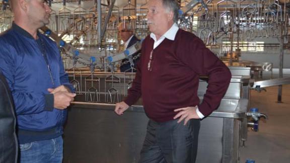 Первая утиная ферма скоро откроется на Ставрополье