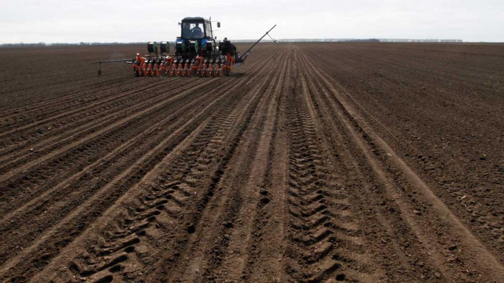 Экспортёры Ставрополья продолжают пользоваться мерами господдержки