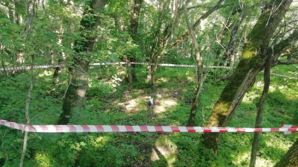 В Железноводске в лесу нашли боеприпас