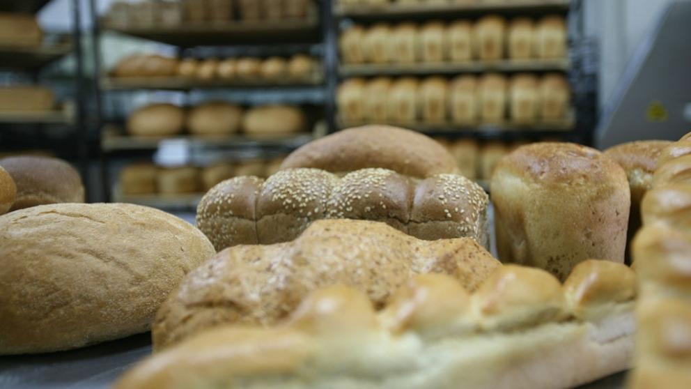 На Ставрополье пекарня расширила производство благодаря господдержке