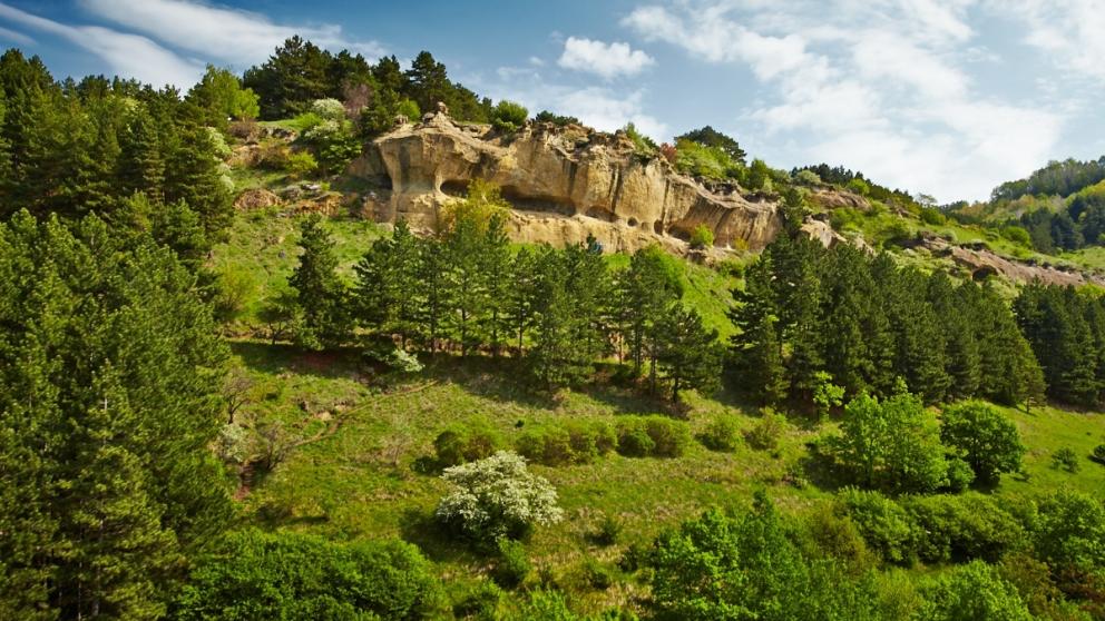 Кисловодск стал первым участником международного экопроекта в России