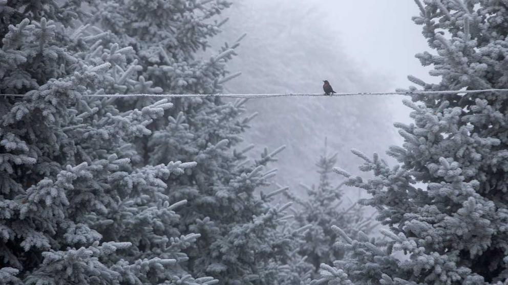 В выходные на Ставрополье немного потеплеет