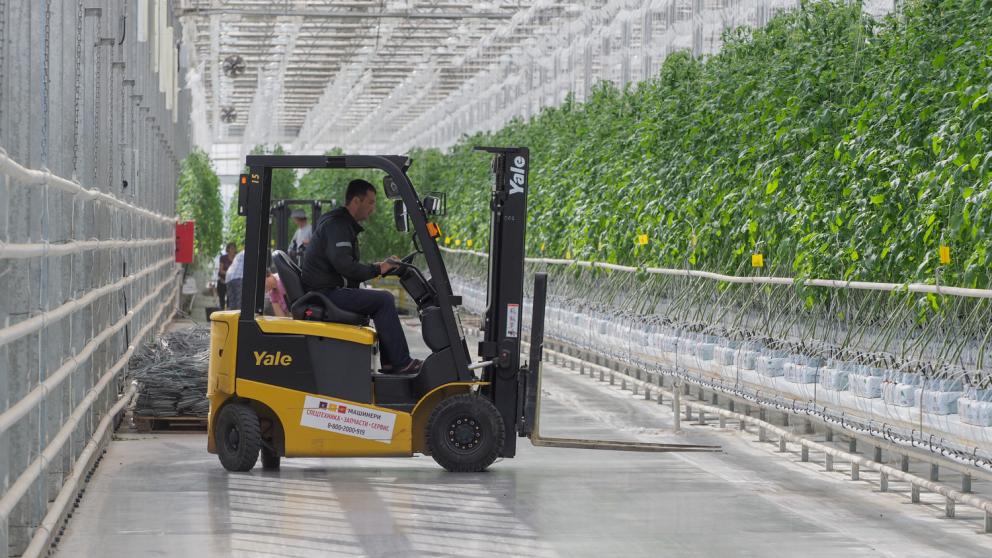 Ставропольский университет планирует готовить специалистов для тепличных комплексов России
