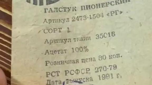 Главе Невинномысска в Москве подарили пионерский галстук