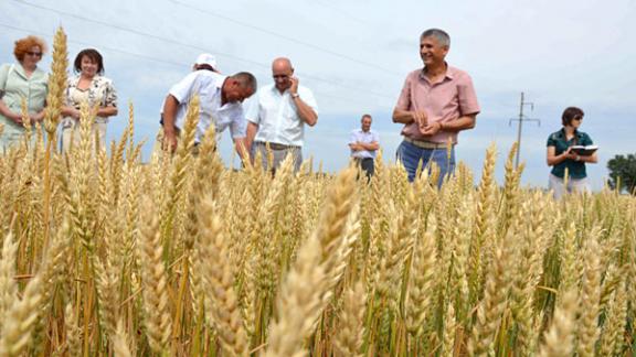 Предуборочное совещание состоялось в Апанасенковском районе