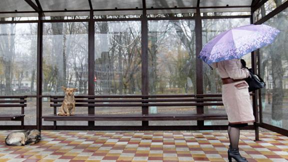 В Ставрополе до конца года появятся три новые остановки