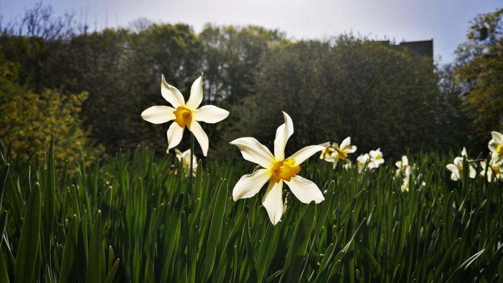 До плюс 28 градусов тепла обещают на Ставрополье в конце рабочей недели