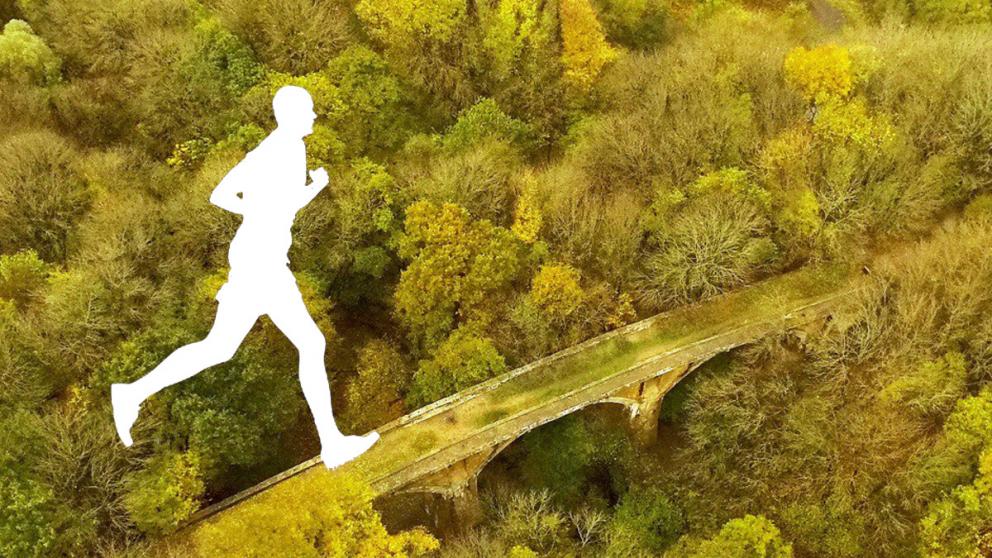 В Мамайском лесу Ставрополя погиб участник соревнований любителей бега