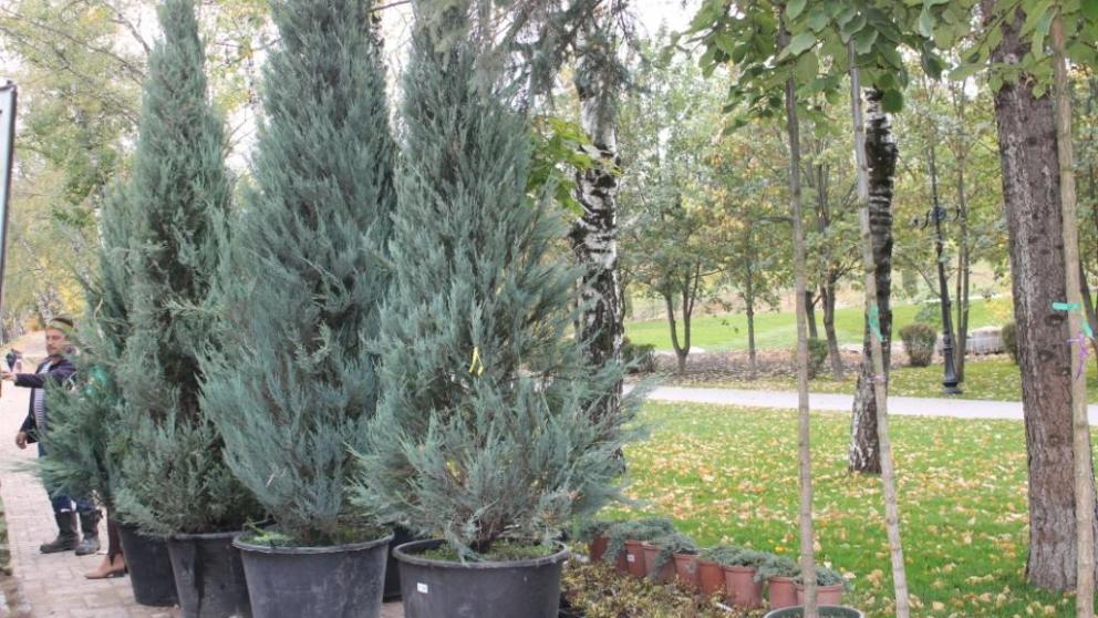 В Кисловодске завершается первый этап реконструкции мемориала Воинской Славы