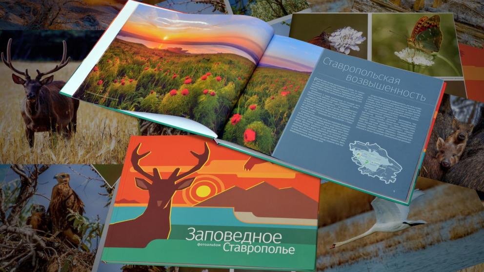 «Газпром трансгаз Ставрополь»: научить детей беречь и любить природу