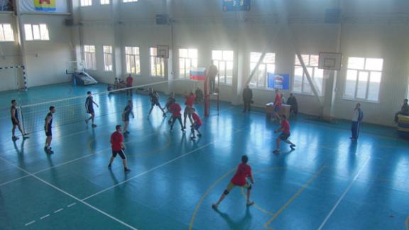 Соревнования по волейболу спартакиады школьников прошли в селе Александровском