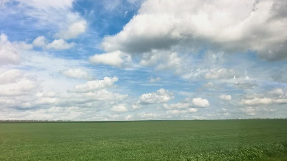 На Ставрополье завершен сев масличного льна 